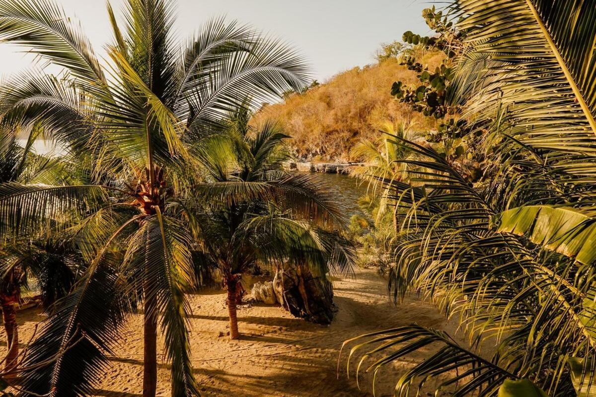 Dream Villa With Private Beach And Catering Zihuatanejo Ngoại thất bức ảnh
