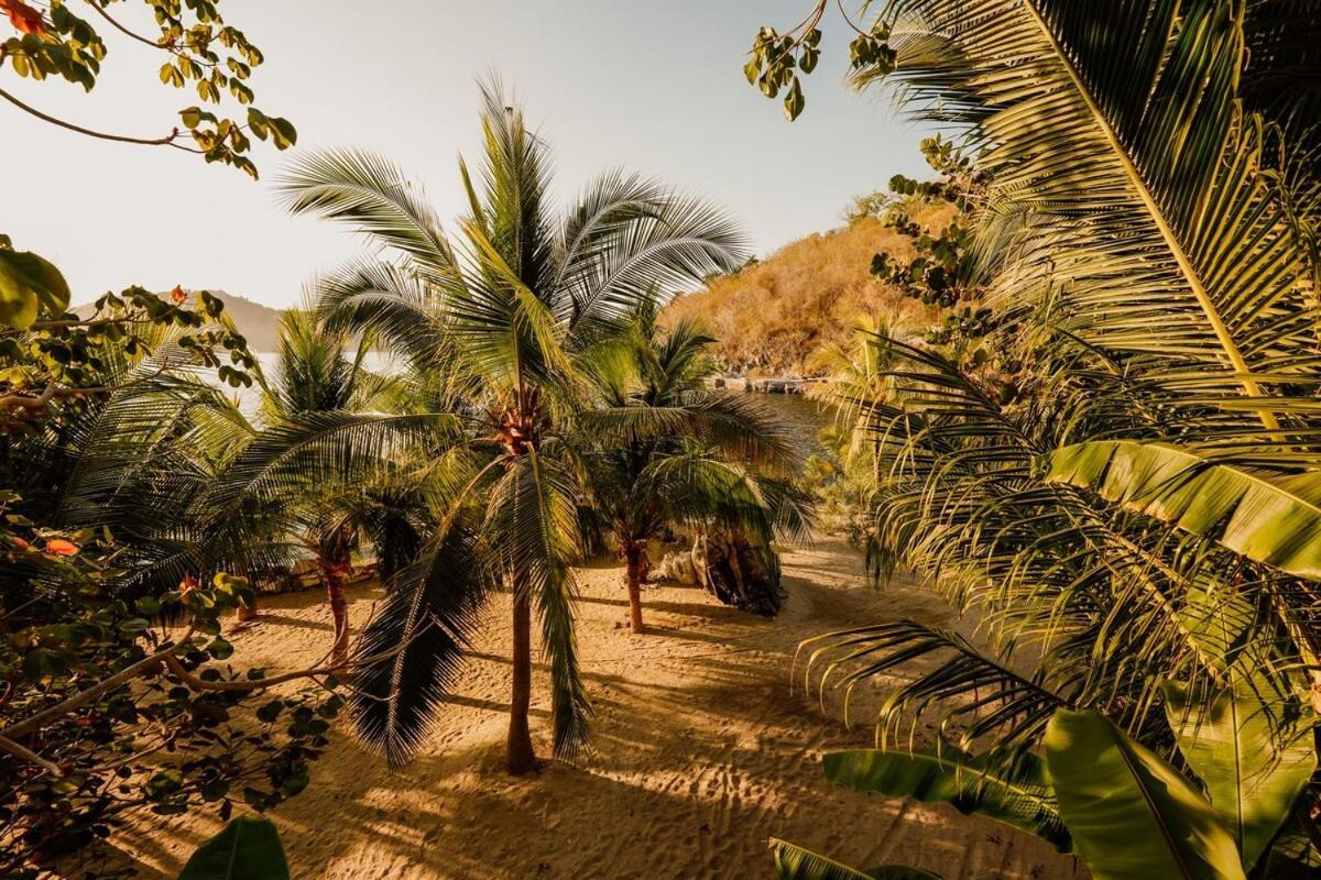 Dream Villa With Private Beach And Catering Zihuatanejo Ngoại thất bức ảnh